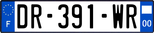 DR-391-WR