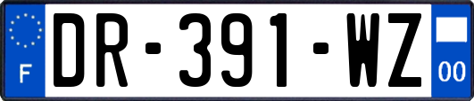 DR-391-WZ
