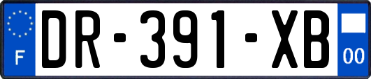 DR-391-XB