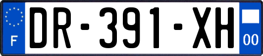 DR-391-XH