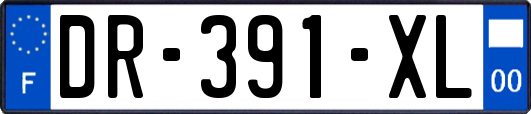 DR-391-XL