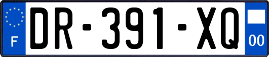 DR-391-XQ