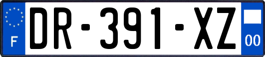 DR-391-XZ