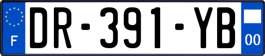 DR-391-YB