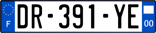 DR-391-YE