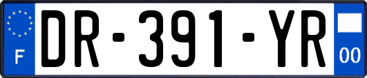 DR-391-YR