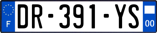 DR-391-YS