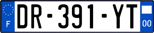 DR-391-YT