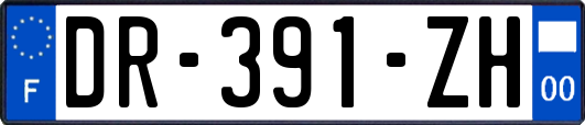DR-391-ZH