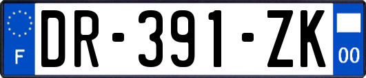DR-391-ZK