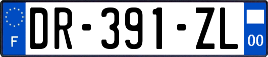 DR-391-ZL