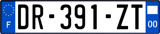 DR-391-ZT