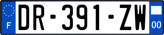 DR-391-ZW