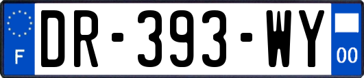 DR-393-WY