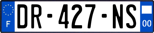 DR-427-NS