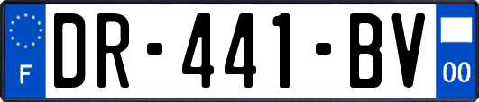 DR-441-BV