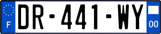DR-441-WY
