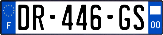 DR-446-GS
