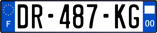 DR-487-KG