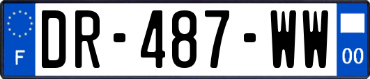 DR-487-WW