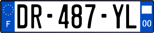 DR-487-YL