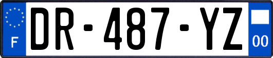 DR-487-YZ