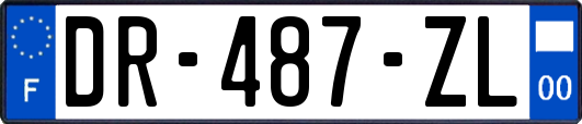 DR-487-ZL