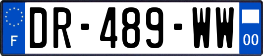 DR-489-WW