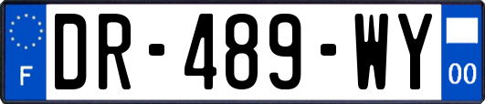 DR-489-WY