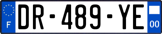 DR-489-YE
