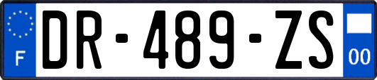 DR-489-ZS