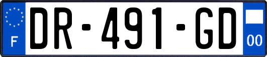 DR-491-GD
