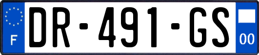 DR-491-GS