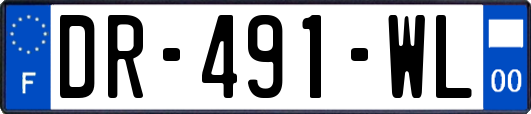 DR-491-WL