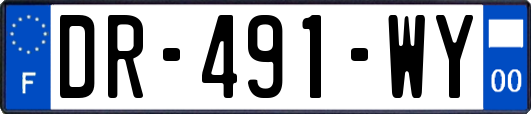 DR-491-WY