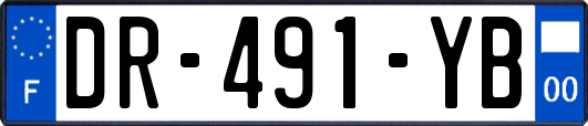DR-491-YB