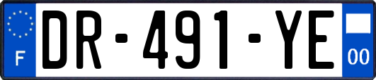 DR-491-YE