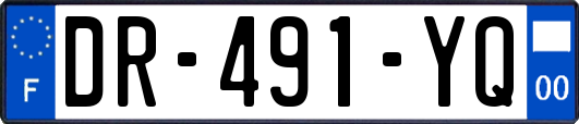 DR-491-YQ