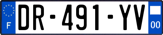 DR-491-YV