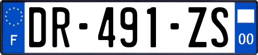 DR-491-ZS