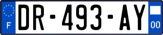 DR-493-AY