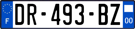 DR-493-BZ