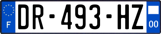 DR-493-HZ