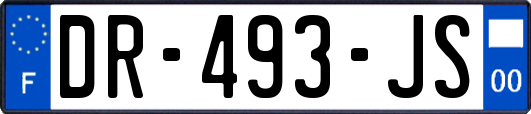 DR-493-JS