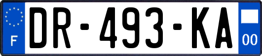 DR-493-KA