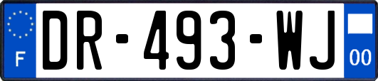 DR-493-WJ