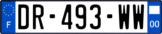 DR-493-WW