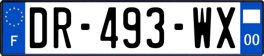 DR-493-WX