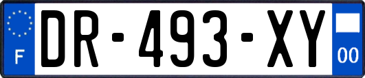 DR-493-XY