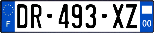 DR-493-XZ